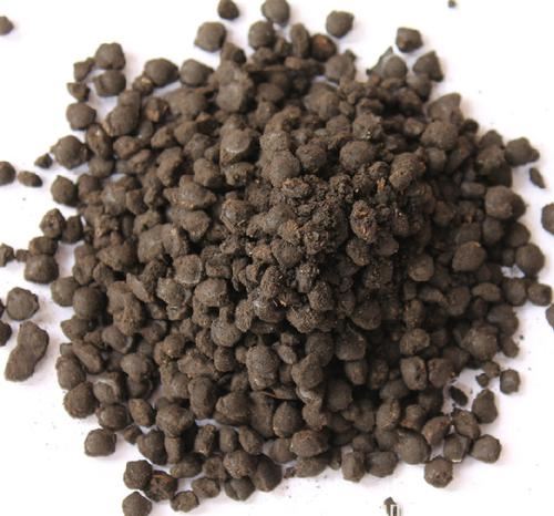organic fertilizer pelletizing machine2