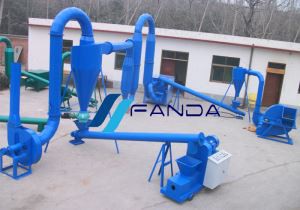 Chabon Fè Plant